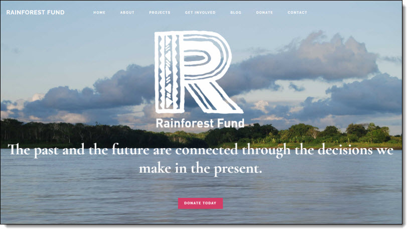 Rainforest Fund WordPress Website by Tadpole Collective